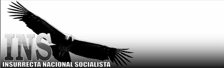 Blog Insurrecta Nacionalsocialista, de extrema derecha en Colombia